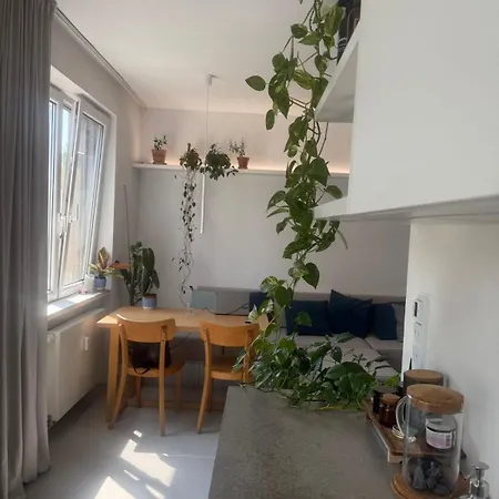 & Modern באנסקה ביסטריצה